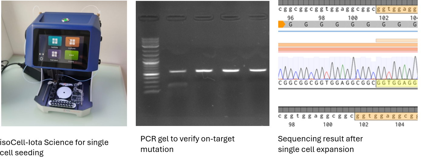 Gene Editing